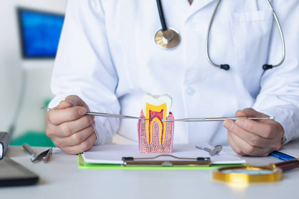 Best Emergency Wisdom Tooth Extraction in Forestville, OH